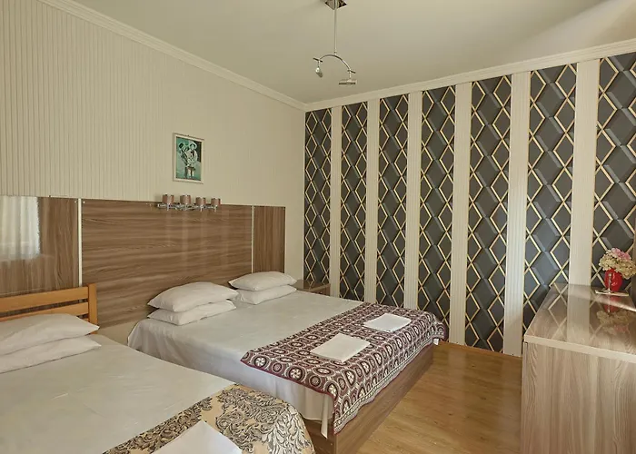 Hotel Borjomi Aisi
